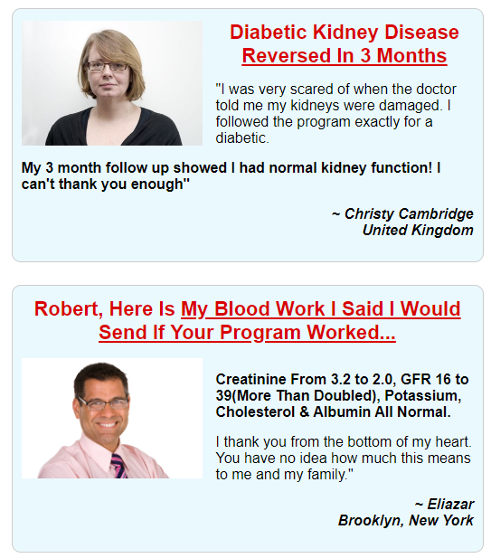 The All Natural Kidney Health & Kidney Function Restoration Program diet plan