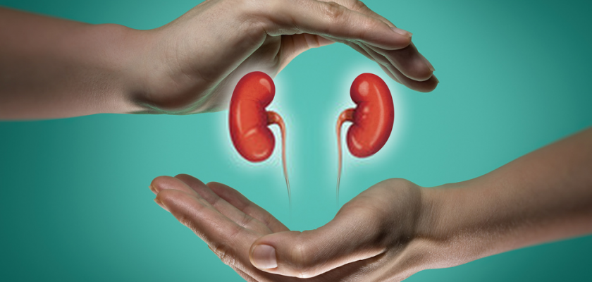 Chronic Kidney Disease Symptoms, Causes, And Preventions