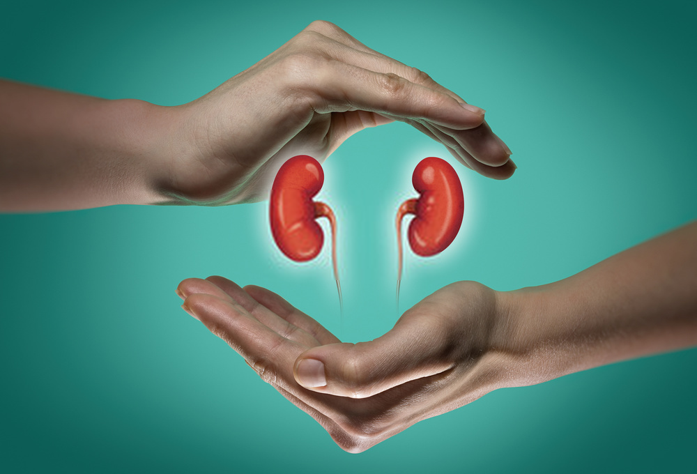 Chronic Kidney Disease Symptoms, Causes, And Preventions