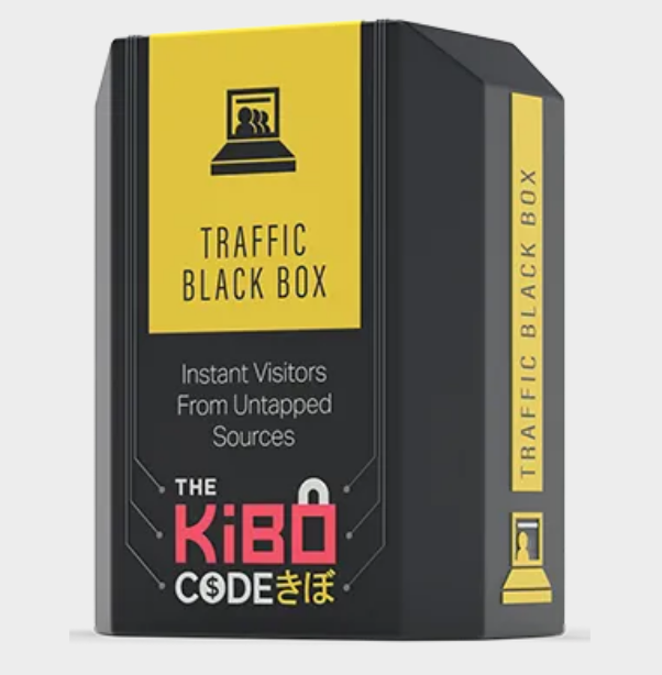 Traffic Black Box