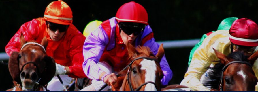 strike rate racing program