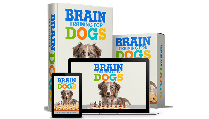 Brain Training For Dogs review