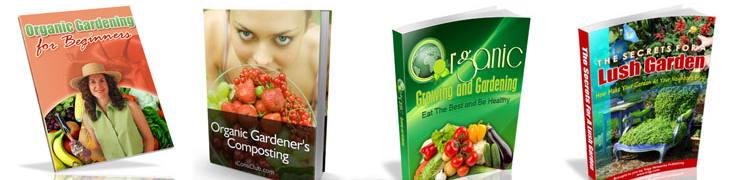 building a chicken coop bonus