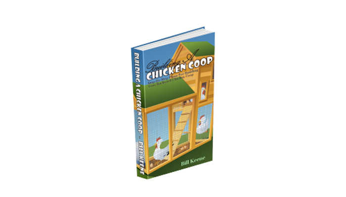 building a chicken coop review