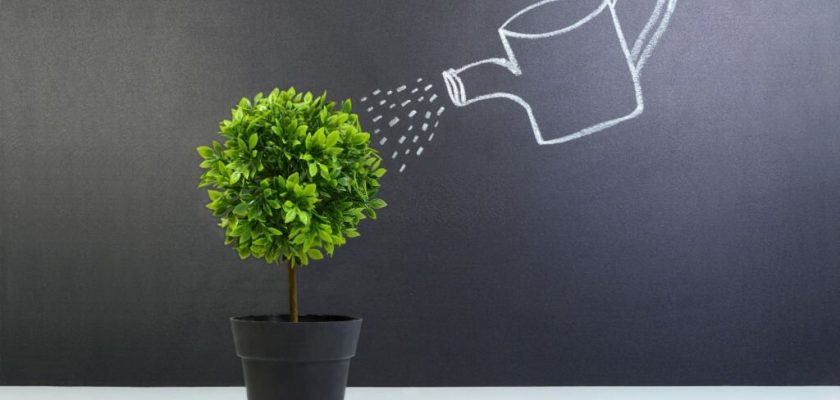 What Are Some Life-saving Health Tricks And Hacks?