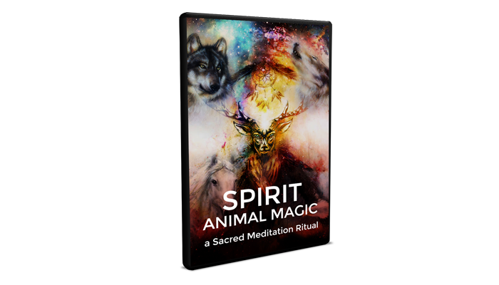 Cosmic Spirit Animal Review
