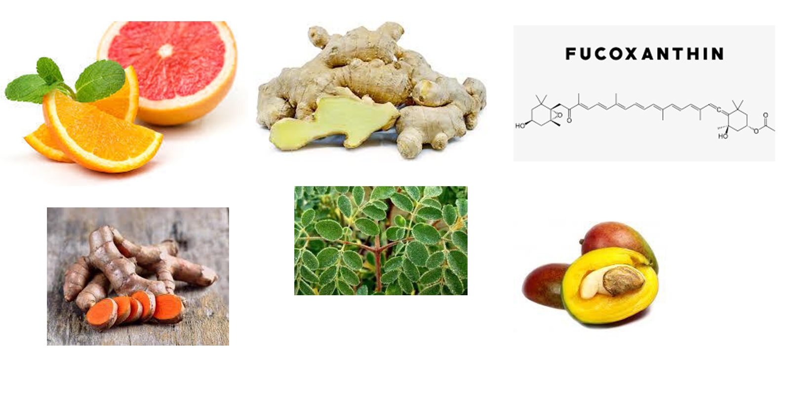 Meticore ingredients